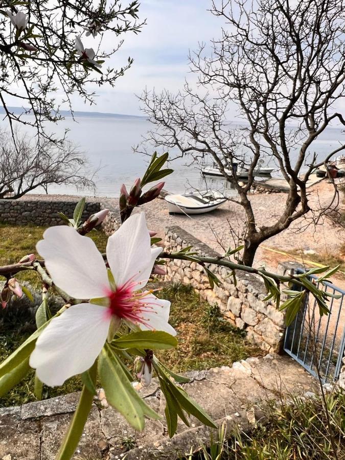 Apartmani Tin Starigrad Paklenica Exterior foto